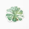 Cognitive Surplus Sempervivum Canariense Succulent Sticker* Stickers | Botany