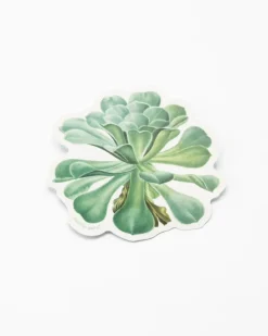 Cognitive Surplus Sempervivum Canariense Succulent Sticker* Stickers | Botany