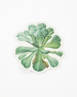 Cognitive Surplus Sempervivum Canariense Succulent Sticker* Stickers | Botany