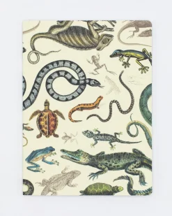Cognitive Surplus Serpents: Reptiles & Amphibians Softcover Notebook - Dot Grid* The Experiment | Biology