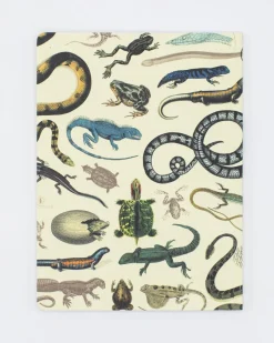 Cognitive Surplus Serpents: Reptiles & Amphibians Softcover Notebook - Dot Grid* The Experiment | Biology