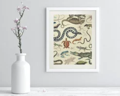 Cognitive Surplus Serpents: Reptiles & Amphibians Scientific Illustration Museum Print* Wall Art | Biology