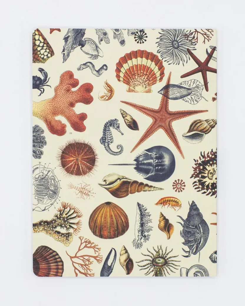 Cognitive Surplus Shallow Seas Plate 2 Softcover Notebook - Lined* The Experiment | Marine Biology