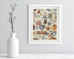 Cognitive Surplus Shallow Seas Scientific Illustration Museum Print* Wall Art | Marine Biology