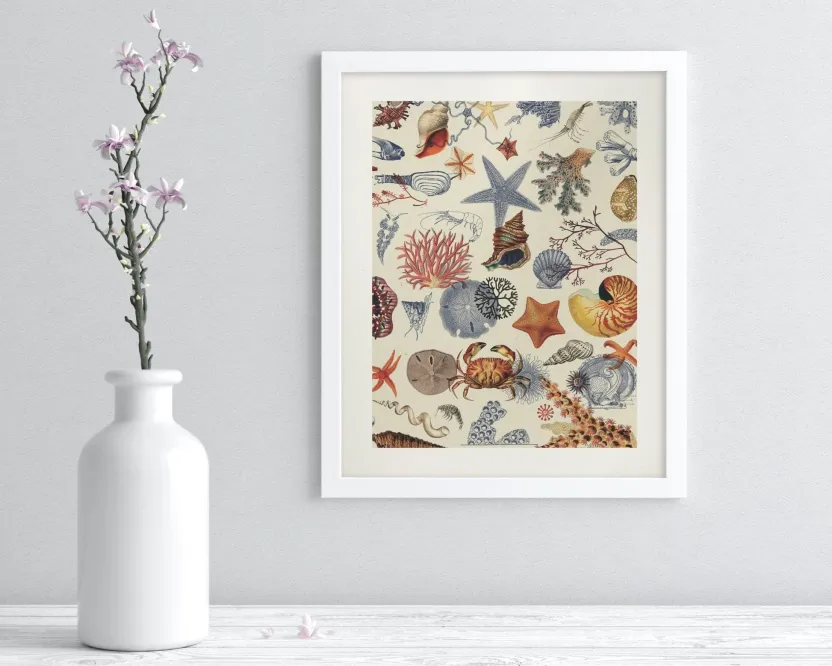 Cognitive Surplus Shallow Seas Scientific Illustration Museum Print* Wall Art | Marine Biology