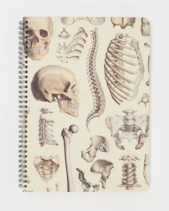 Cognitive Surplus Skeleton Anatomy Spiral Notebook | * The Helix | Medicine