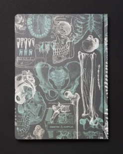 Cognitive Surplus Skeleton Dark Matter Notebook* Black Paper Notebooks | The Dark Matter