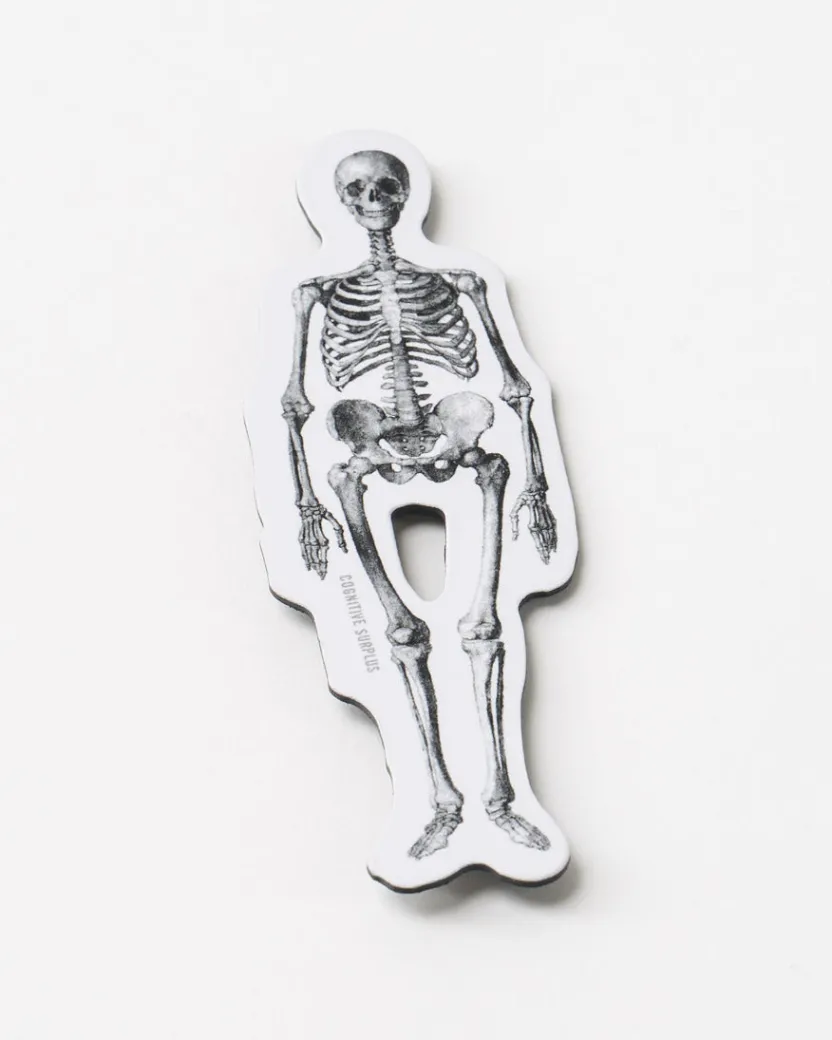 Cognitive Surplus Skeleton Magnet* Magnets | Medicine