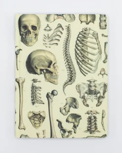 Cognitive Surplus Skeleton Pl 2 Hardcover Notebook - Dot Grid* The Hypothesis | Medicine