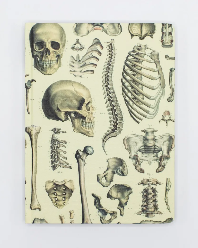 Cognitive Surplus Skeleton Pl 2 Hardcover Notebook - Dot Grid* The Hypothesis | Medicine