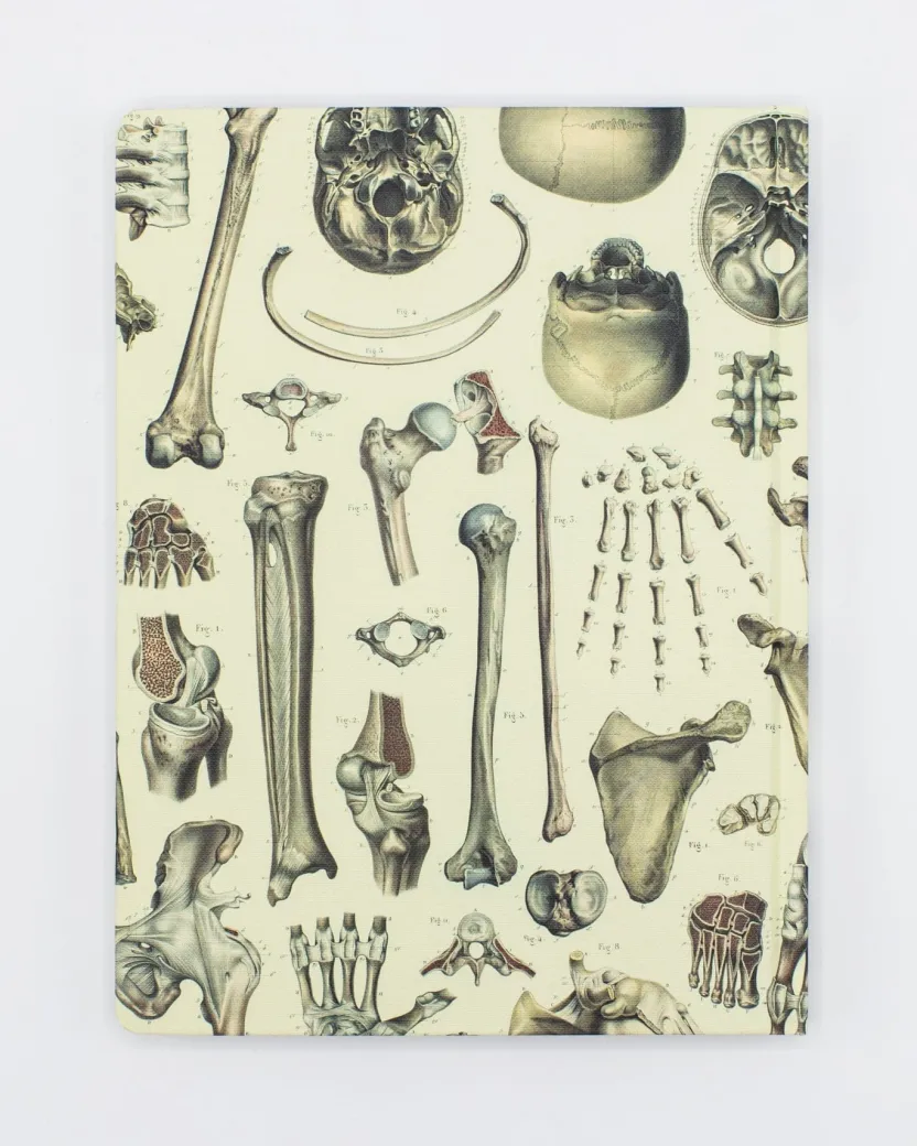 Cognitive Surplus Skeleton Pl 2 Hardcover Notebook - Dot Grid* The Hypothesis | Medicine