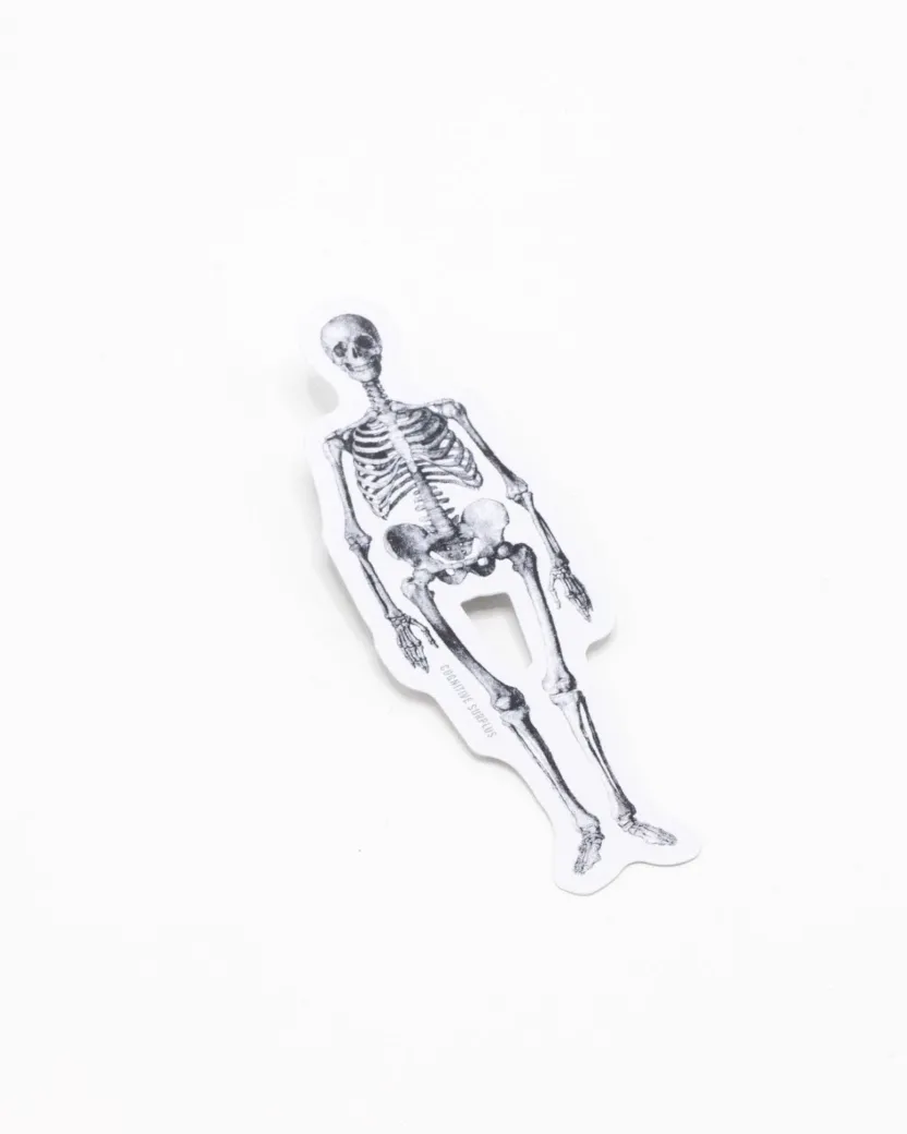 Cognitive Surplus Skeleton Sticker* Stickers | Medicine