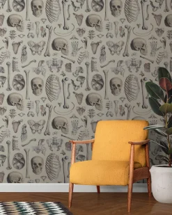 Cognitive Surplus Skeleton Wallpaper* Wallpaper | Medicine