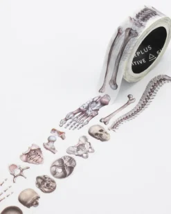 Cognitive Surplus Skeleton Washi Tape* Washi Tape | Medicine