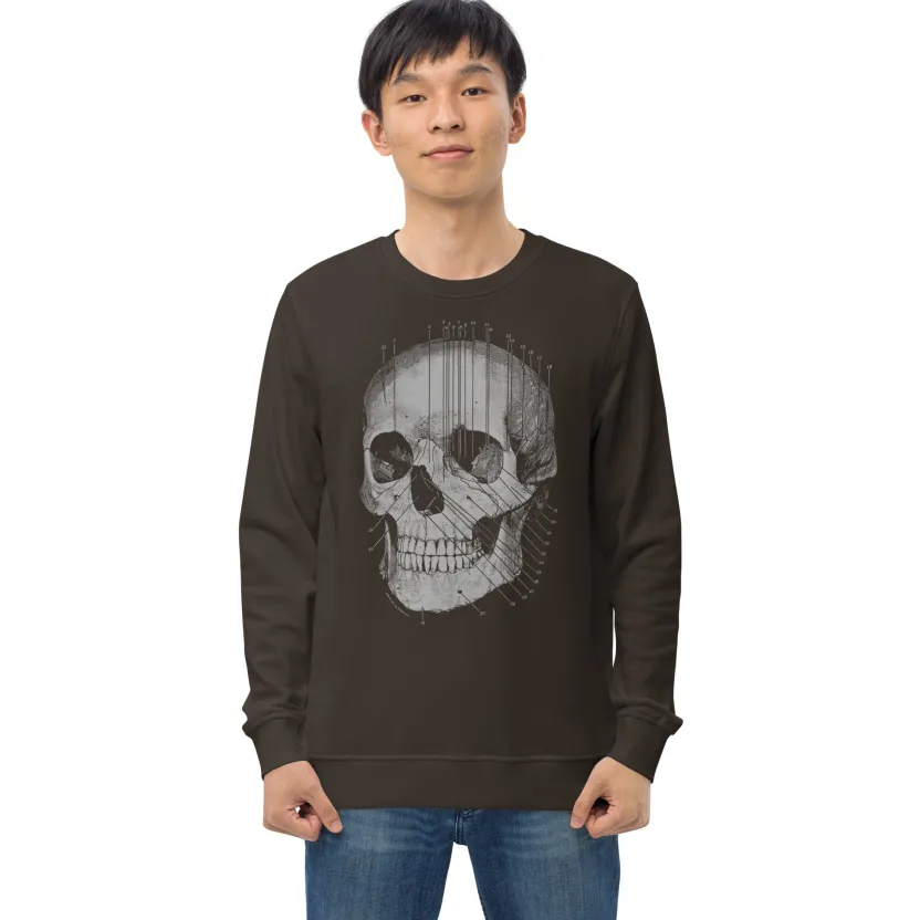 Cognitive Surplus Skull Anatomy Sweatshirt - Organic* Sweatshirts | Medicine
