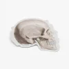 Cognitive Surplus Skull Profile Sticker* Stickers | Medicine