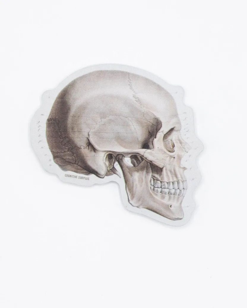 Cognitive Surplus Skull Profile Sticker* Stickers | Medicine