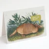 Cognitive Surplus Sorry Armadillo Card - Apology Card | * Greeting Cards | Biology