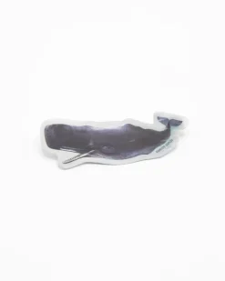Cognitive Surplus Sperm Whale Sticker* Stickers | Marine Biology