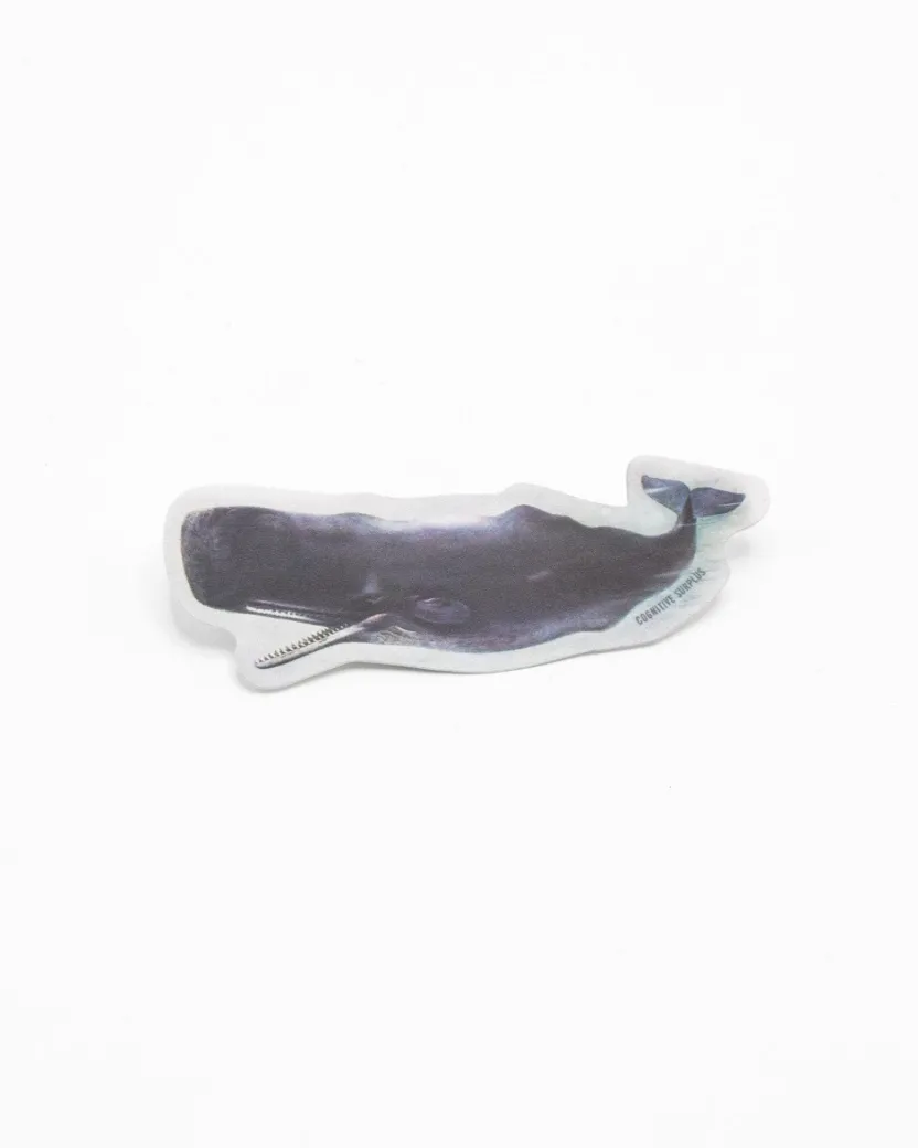 Cognitive Surplus Sperm Whale Sticker* Stickers | Marine Biology