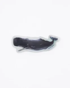 Cognitive Surplus Sperm Whale Sticker* Stickers | Marine Biology