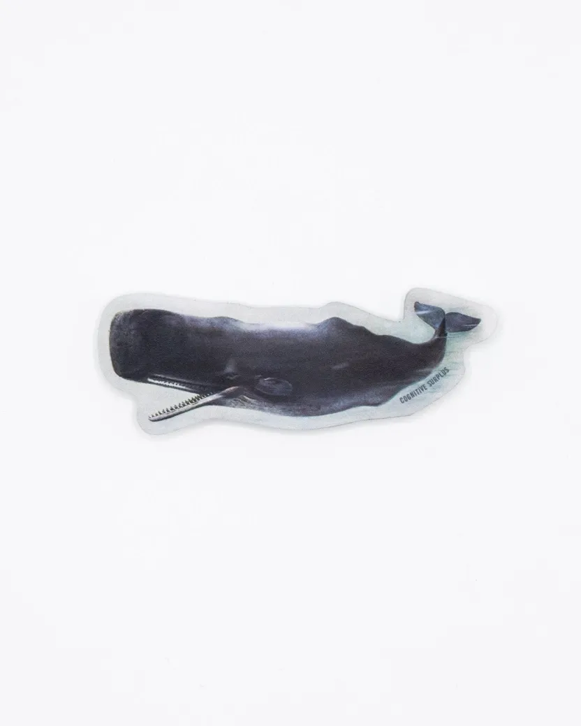 Cognitive Surplus Sperm Whale Sticker* Stickers | Marine Biology