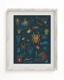 Cognitive Surplus Spiders Pl 2 Scientific Illustration Museum Print* Wall Art | Entomology