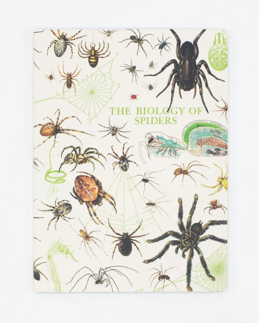 Cognitive Surplus Spiders Softcover Notebook | * The Experiment | Entomology