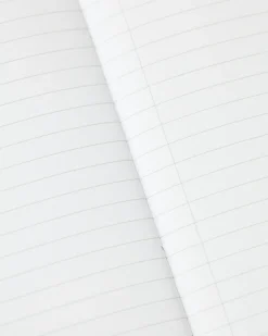 Cognitive Surplus Spiders Softcover Notebook | * The Experiment | Entomology