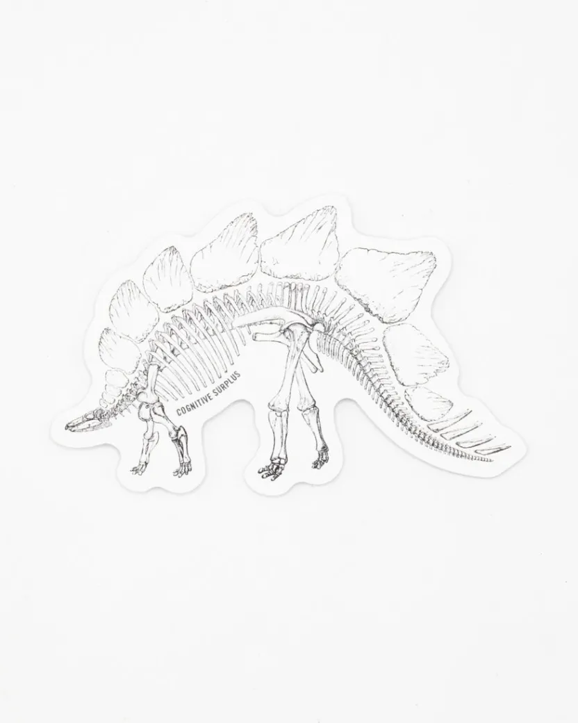 Cognitive Surplus Stegosaurus Skeleton Sticker* Stickers | Paleontology