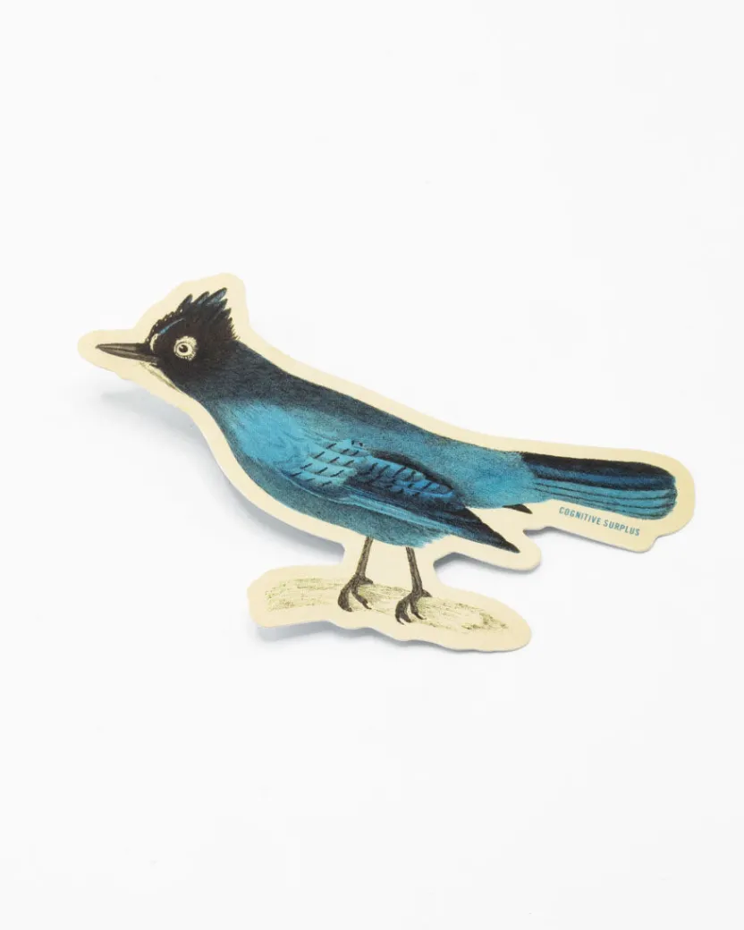 Cognitive Surplus Stellar Jay Sticker* Stickers | Ornithology