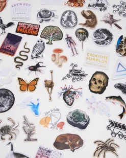 Cognitive Surplus Sticker Mystery Pack* Multi-Pack Collections | Stickers