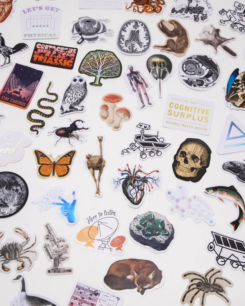 Cognitive Surplus Sticker Mystery Pack* Multi-Pack Collections | Stickers