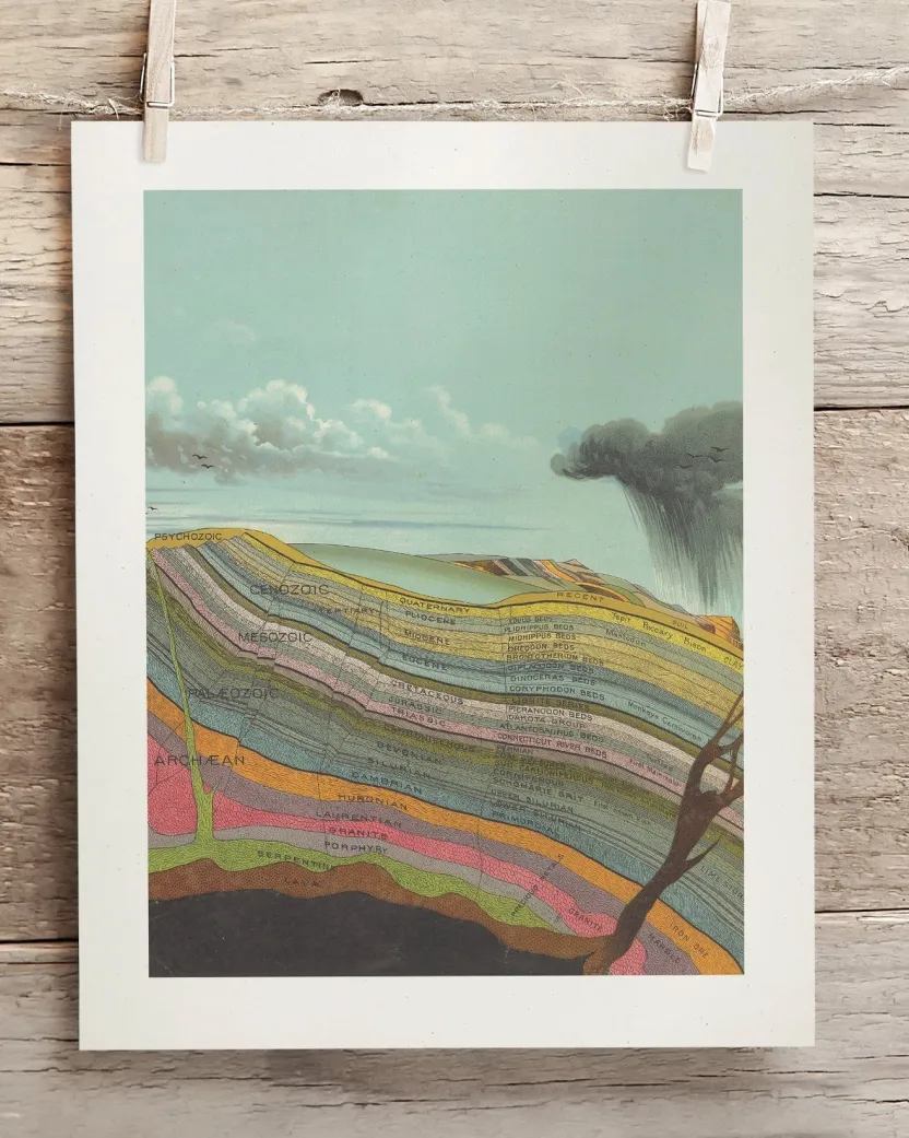 Cognitive Surplus Stratigraphy Scientific Illustration Museum Print* Wall Art | Geology + Earth Science