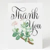 Cognitive Surplus Succulent Greeting Card - Thank You Card | * Greeting Cards | Botany