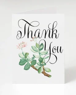 Cognitive Surplus Succulent Greeting Card - Thank You Card | * Greeting Cards | Botany