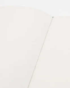 Cognitive Surplus Succulents Hardcover - Blank* The Theory | Botany