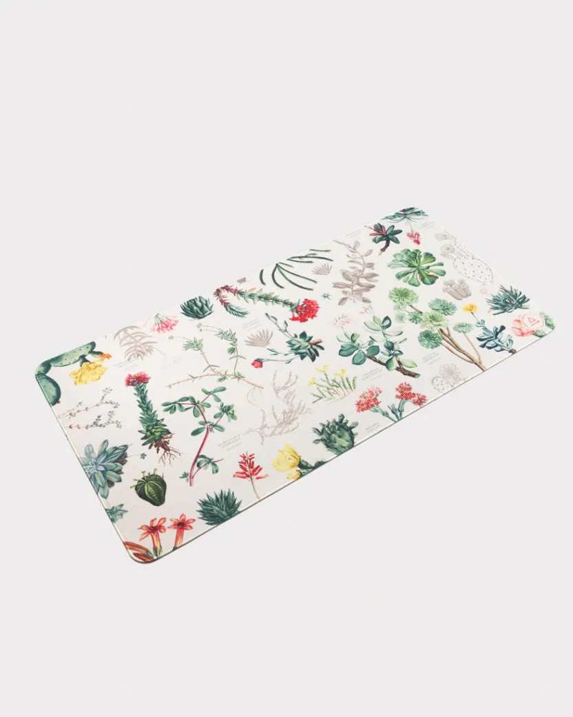 Cognitive Surplus Succulents Mouse Pad* Mouse Pads | Botany