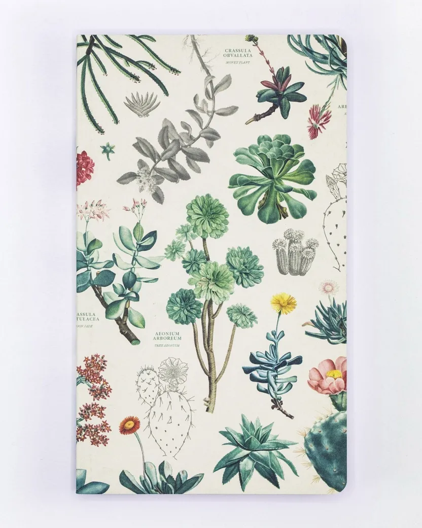 Cognitive Surplus Succulents Yearly Planner* The Syllabus | Botany