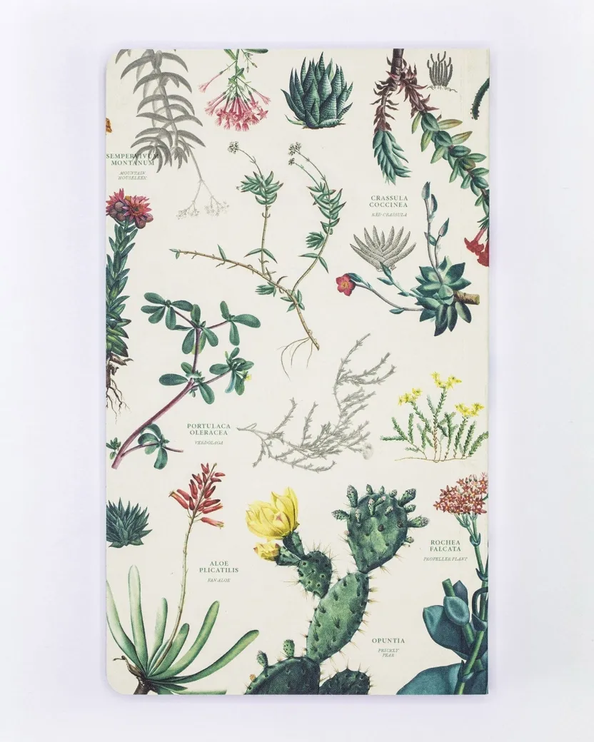 Cognitive Surplus Succulents Yearly Planner* The Syllabus | Botany