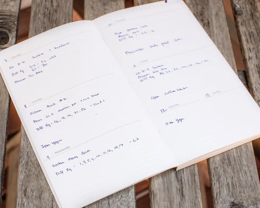 Cognitive Surplus Succulents Yearly Planner* The Syllabus | Botany
