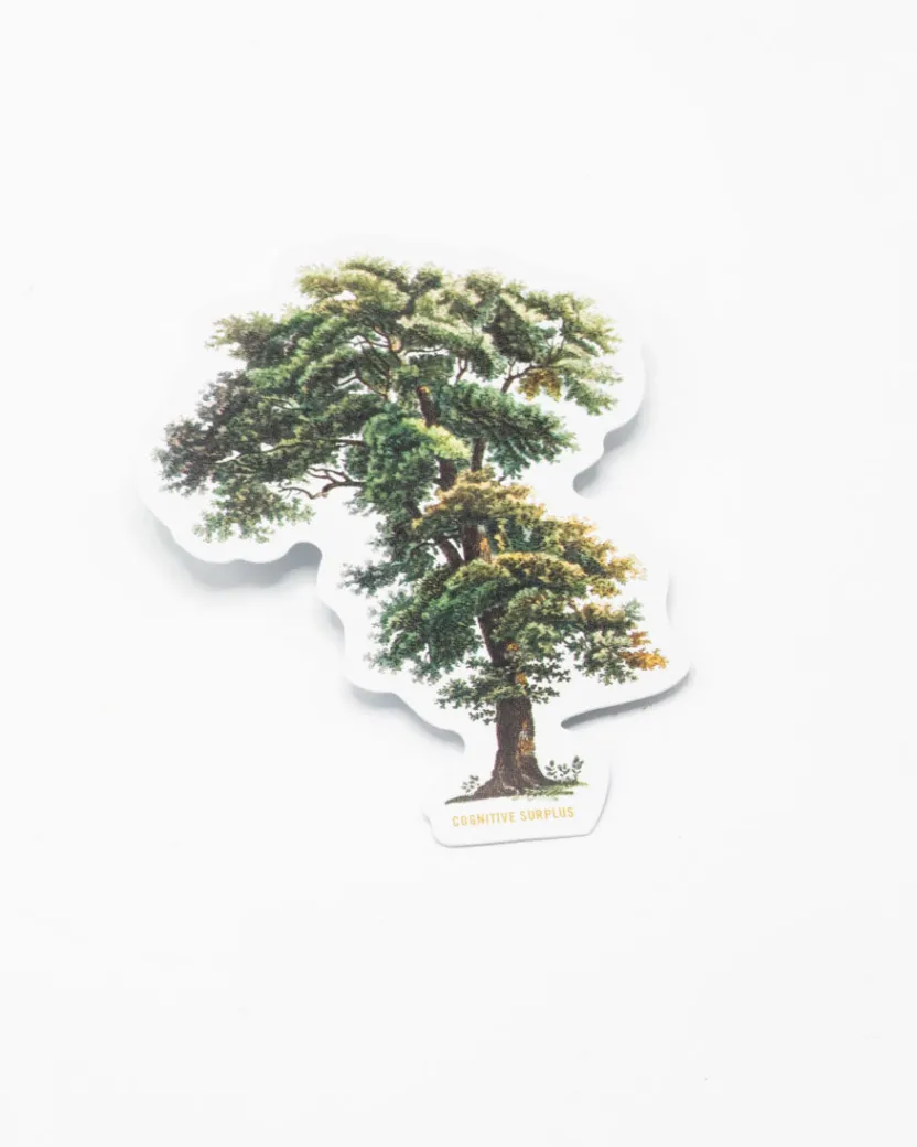 Cognitive Surplus Tall Tree Sticker* Stickers | Botany