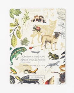 Cognitive Surplus Theory of Evolution Softcover Notebook | Charles Darwin* The Experiment | Ornithology