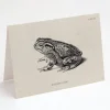 Cognitive Surplus Toad Greeting Card - Science Stationery | * Greeting Cards | Biology