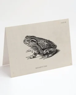 Cognitive Surplus Toad Greeting Card - Science Stationery | * Greeting Cards | Biology