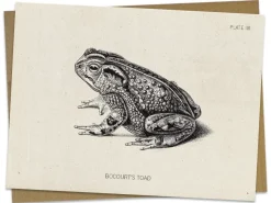 Cognitive Surplus Toad Greeting Card - Science Stationery | * Greeting Cards | Biology