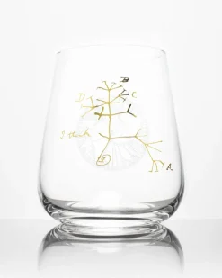 Cognitive Surplus Tree of Life Wine Glass - Evolution | * Wine Glasses | Biology