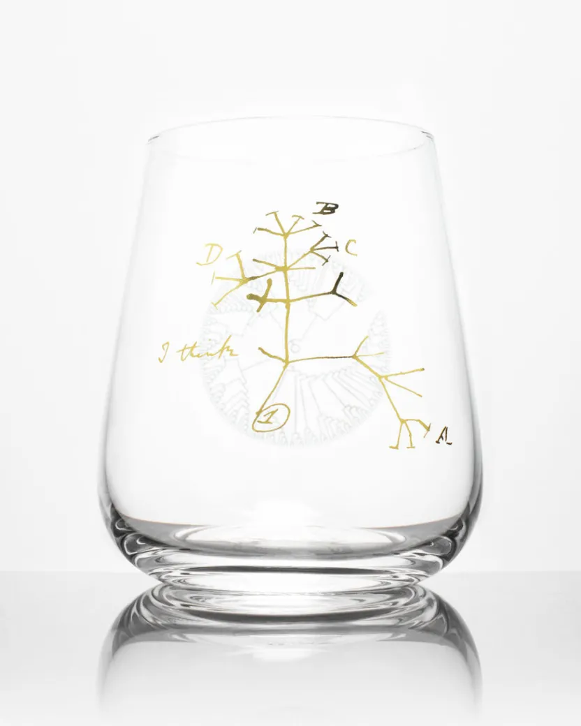 Cognitive Surplus Tree of Life Wine Glass - Evolution | * Wine Glasses | Biology