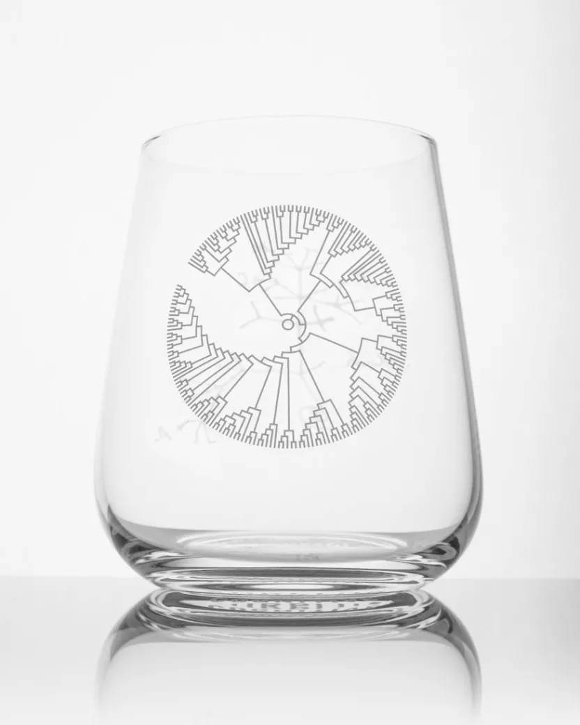 Cognitive Surplus Tree of Life Wine Glass - Evolution | * Wine Glasses | Biology