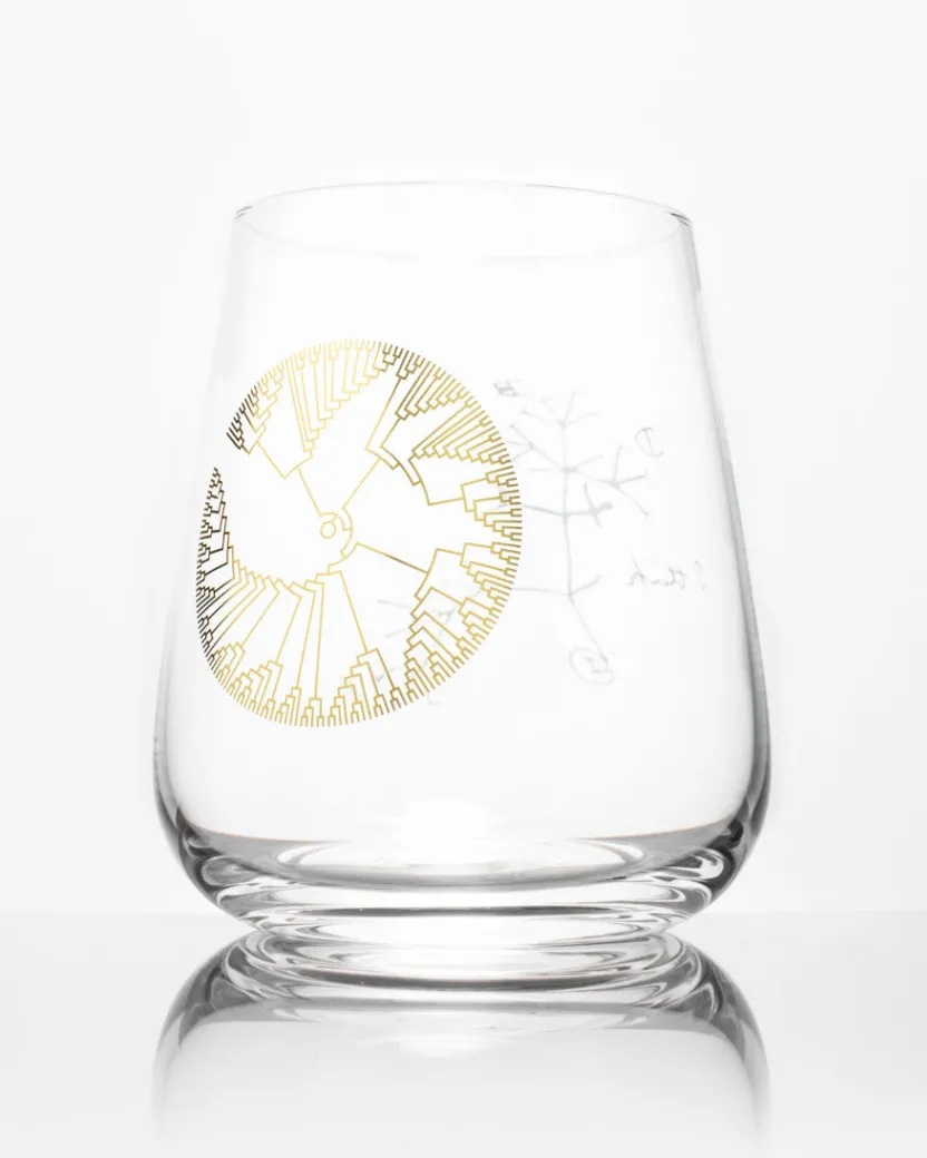 Cognitive Surplus Tree of Life Wine Glass - Evolution | * Wine Glasses | Biology